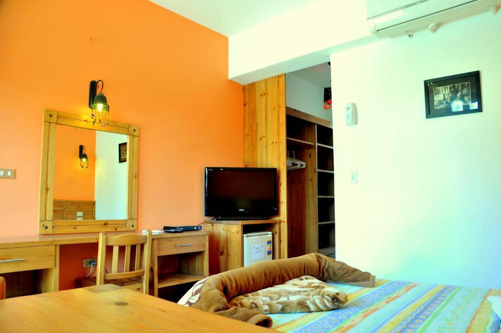 Dahab Divers Quarto foto